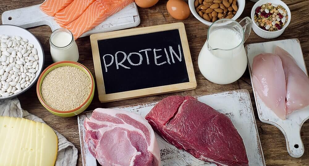 正しいタンパク質の摂り方